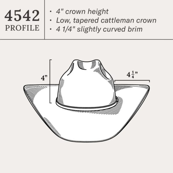 Rincon 10X Straw Cowboy Hat - Image 8