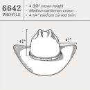 Gunfighter 10X Cowboy Hat