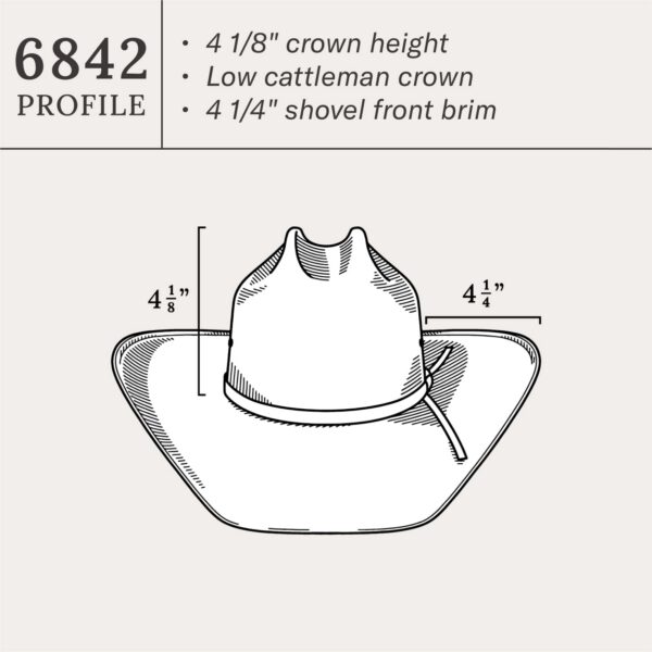 Thunder 10X Straw Cowboy Hat - Image 8