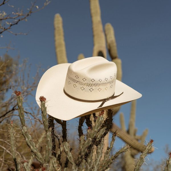 Baker 20X Straw Cowboy Hat - Image 4